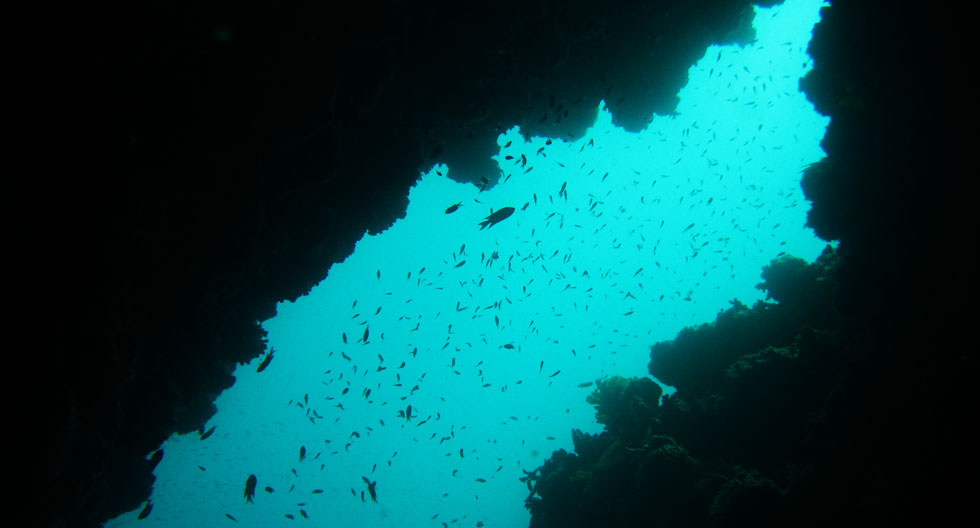 www.islatortugadivers.com-isla-tortuga-divers-koh-tao-SAIL-ROCK-cueva