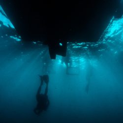 isla-tortuga-divers-koh-tao-buceo-profundo-(-deep-spec)