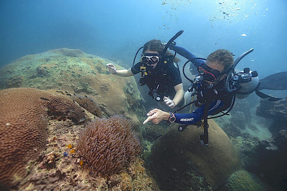 curso de buceo bautismo en koh tao