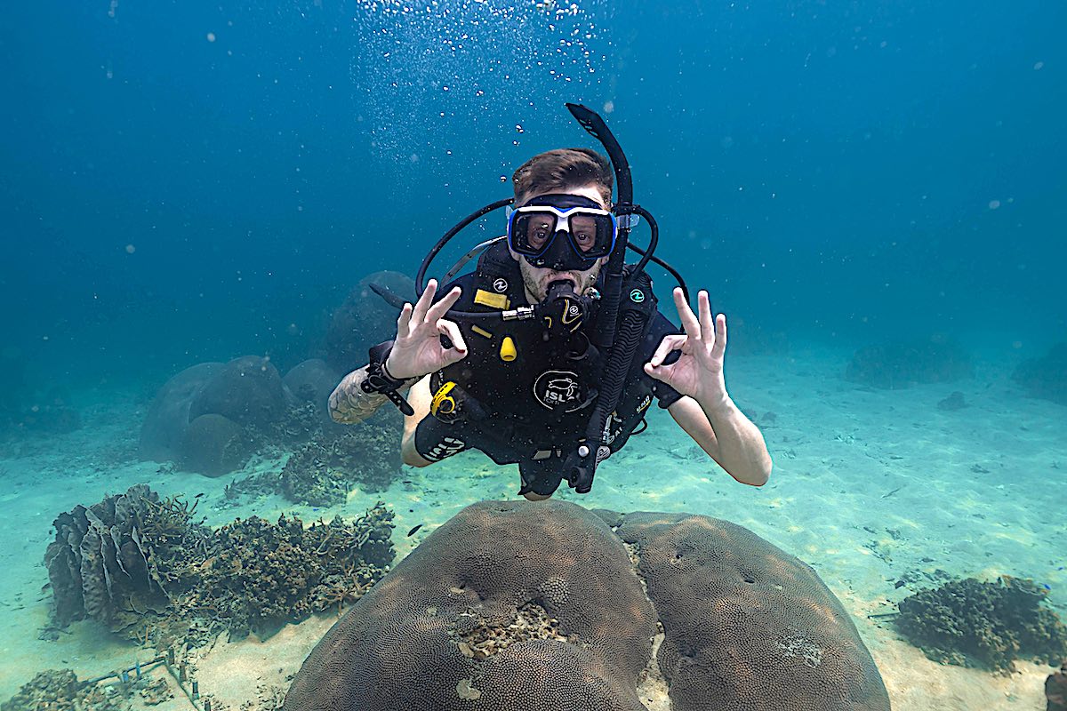 curso de buceo open water koh tao