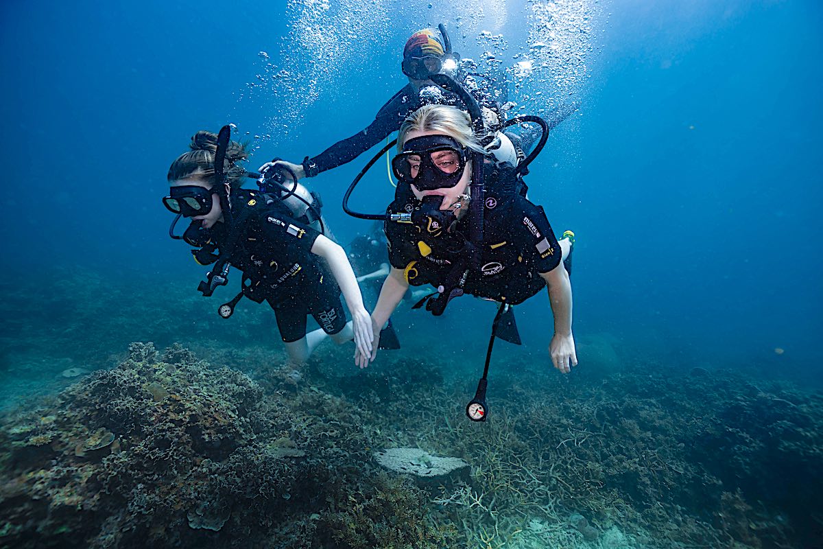 discover scuba diving en koh tao