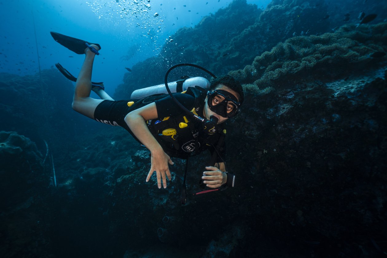 marine conservation padi aware course thailand