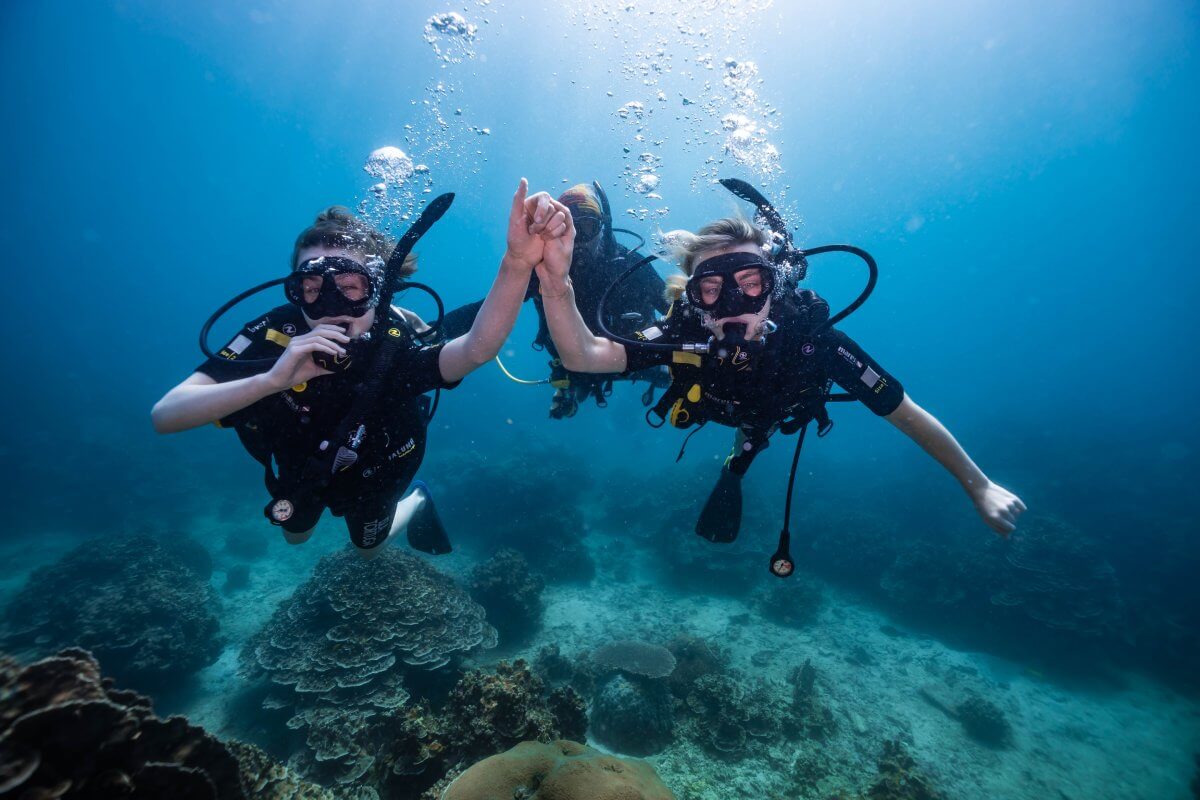 discover scuba diving course koh tao