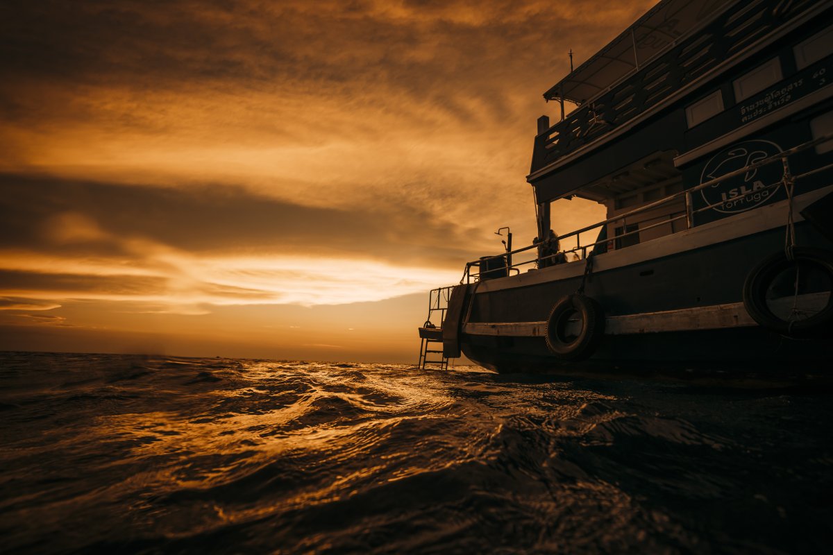 night diving course koh tao