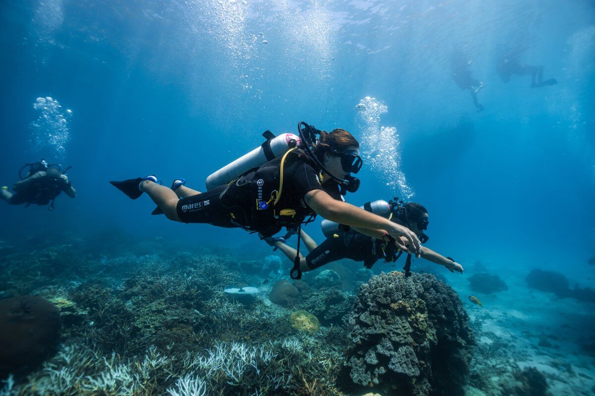 padi open water course in koh tao
