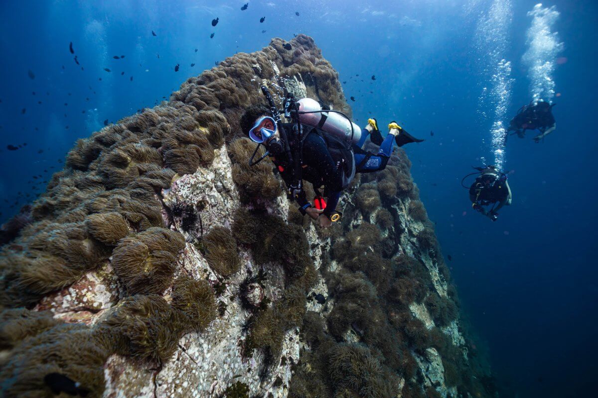 padi advanced open water course in koh tao