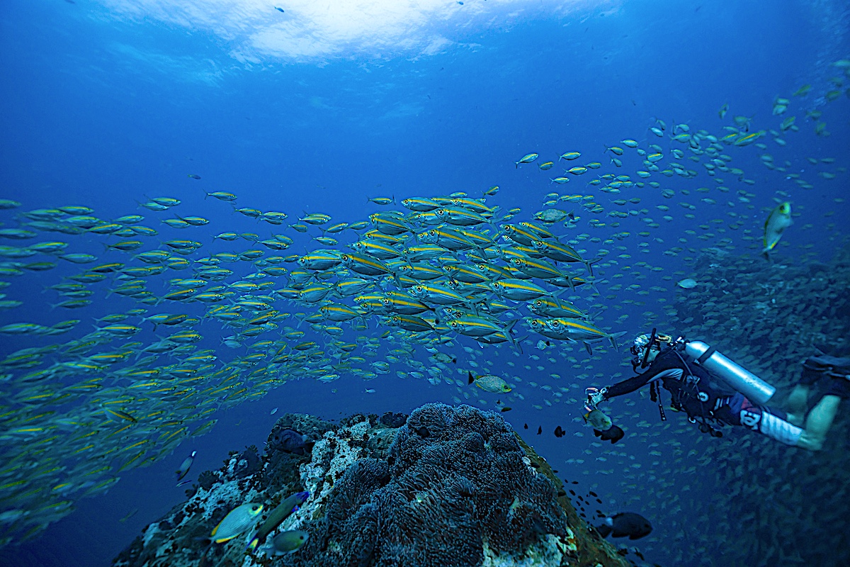 padi advanced open water course on koh tao in thailand