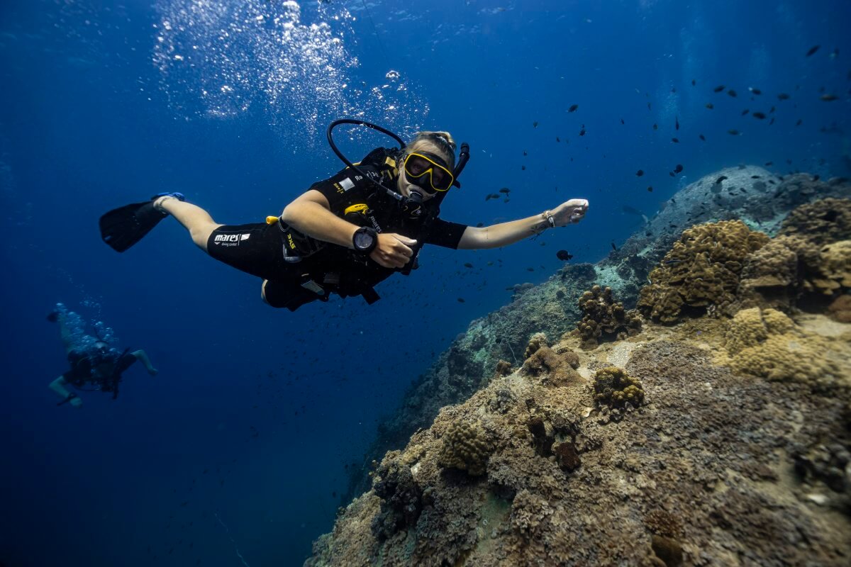 Eleva tus aventuras de buceo
