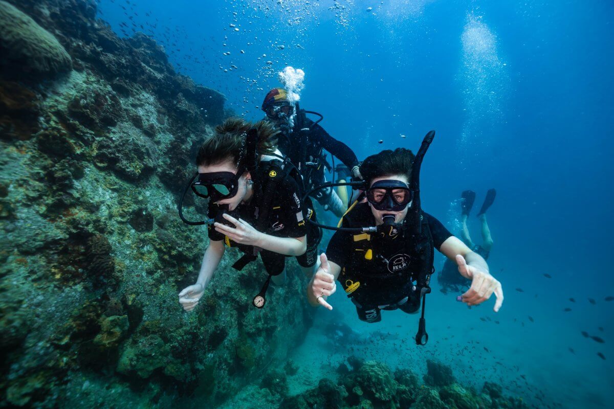 discover scuba diving course koh tao