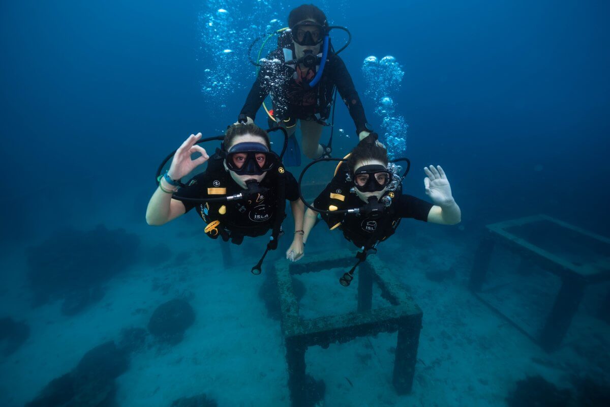 discover scuba diving course koh tao