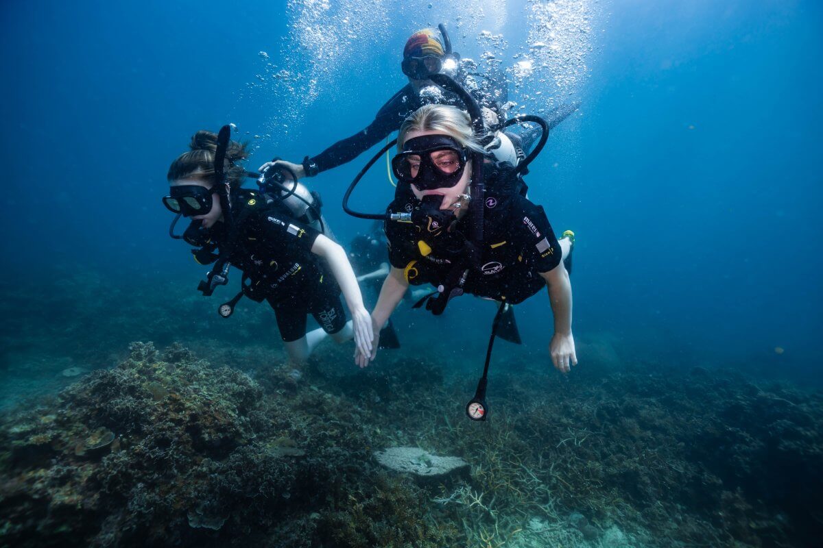 discover scuba diving course koh tao