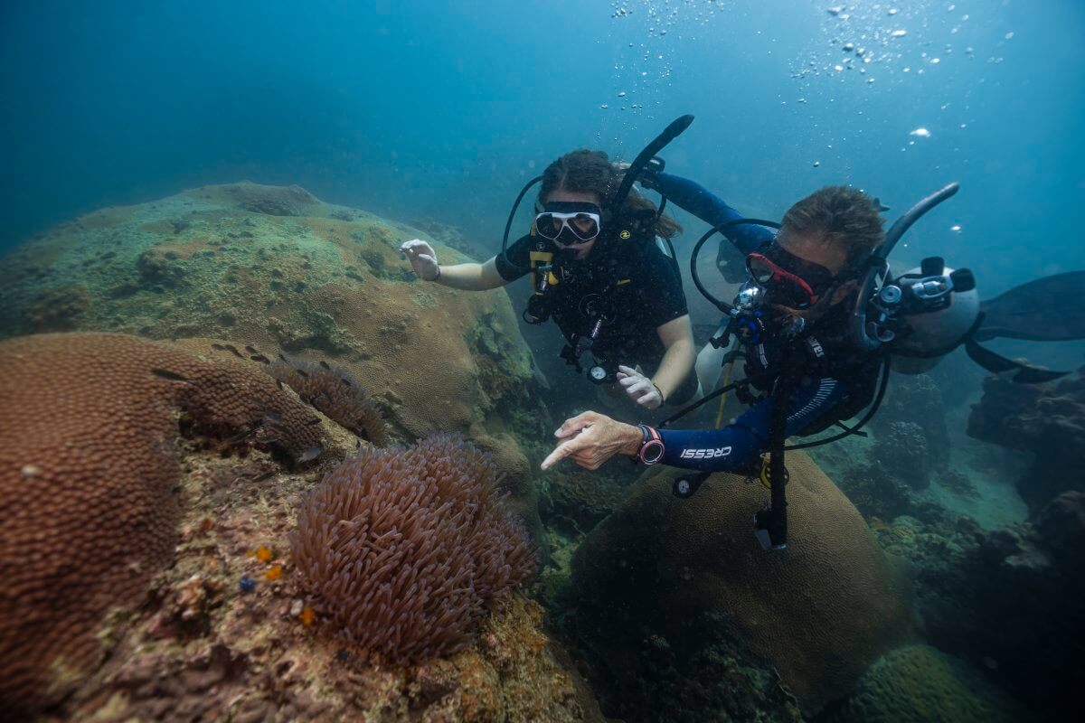 curso discover scuba diving koh tao