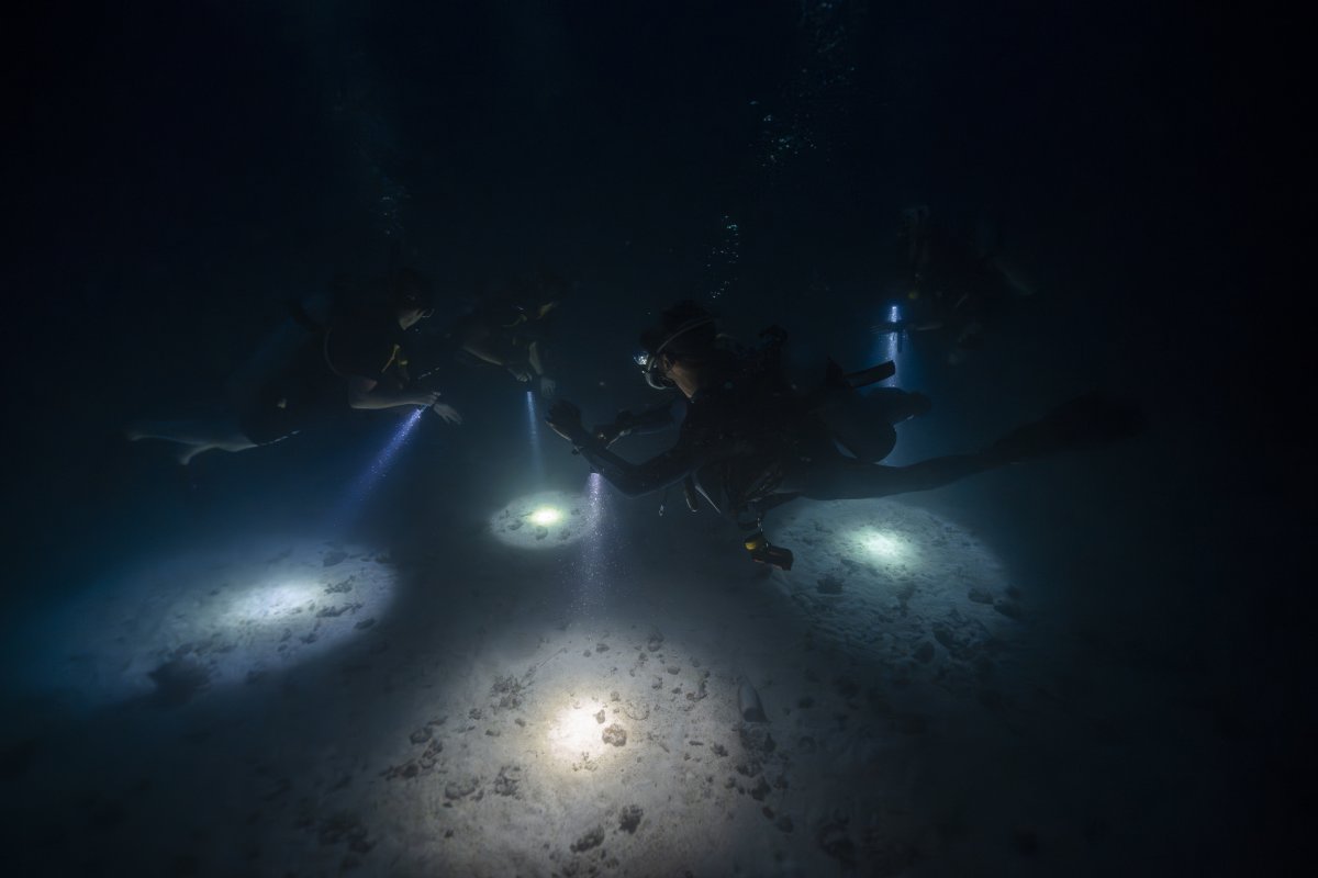 padi night diving specialty koh tao