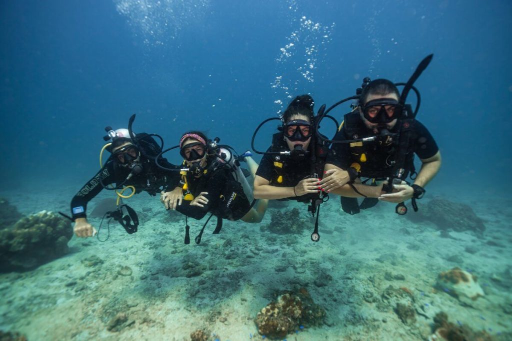 padi open water course in koh tao