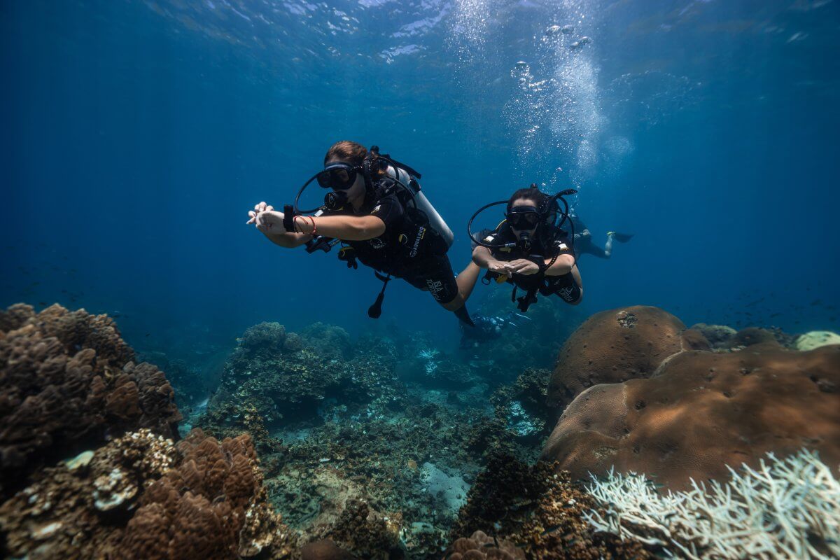padi open water course in koh tao
