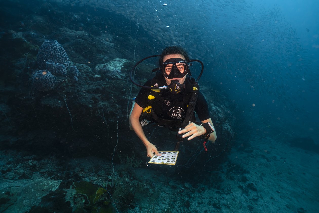 Curso de Naturalista Submarino