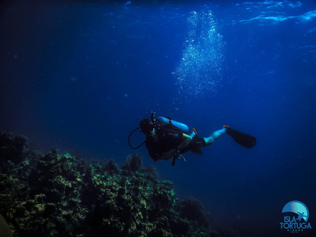 isla-tortuga-divers-koh-tao-mochileros-tailandia-buceo-diving-cursos-buceo-español-islatortugadivers.com
