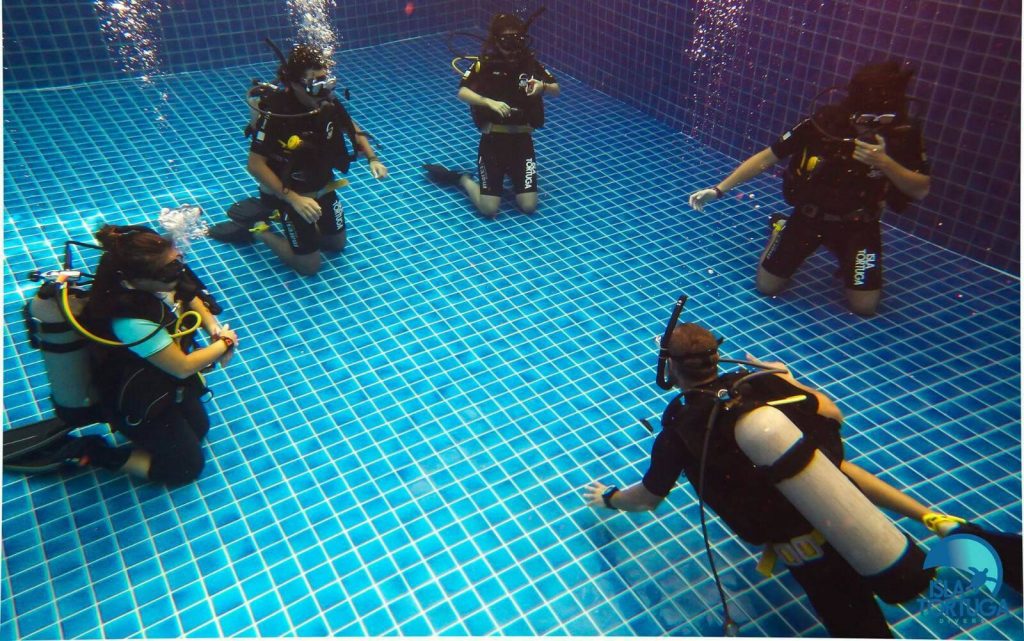 islatortugadivers.com-isla-tortuga-divers-koh-tao-cursos-buceo-español-vista-escuela-javi-piscina-ow