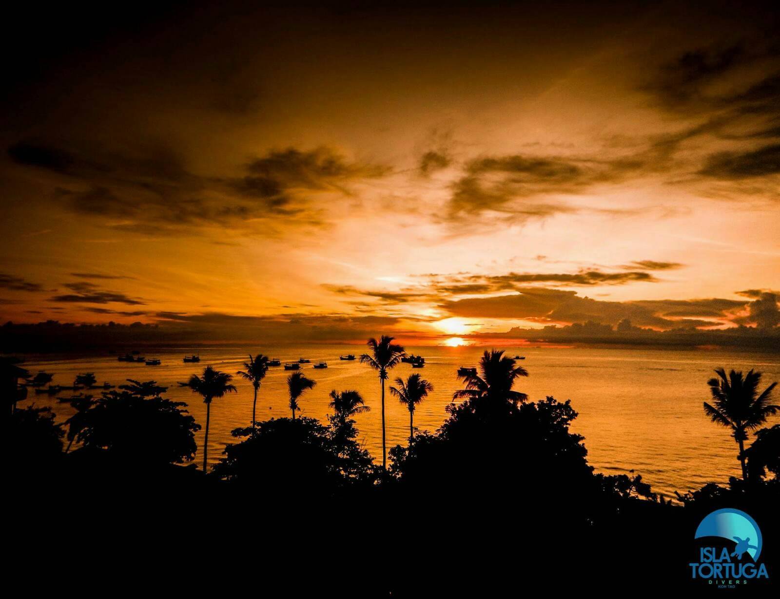 buceo después del atardecer