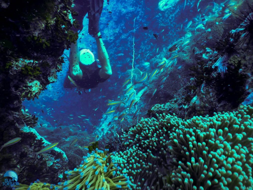 islatortugadivers.com-isla-tortuga-divers-koh-tao-cursos-buceo-español-vista-escuela-javi-piscina-chumphon