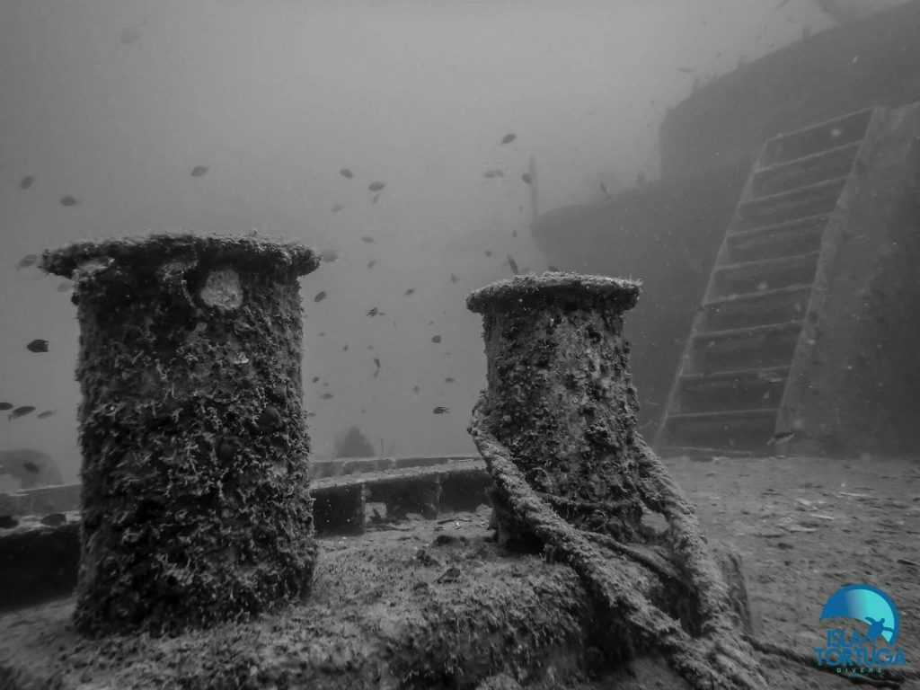 islatortugadivers.com-isla-tortuga-divers-koh-tao-cursos-buceo-español-vista-escuela-javi-piscina-chumphon-burbujas-barco-hundido-sattakut