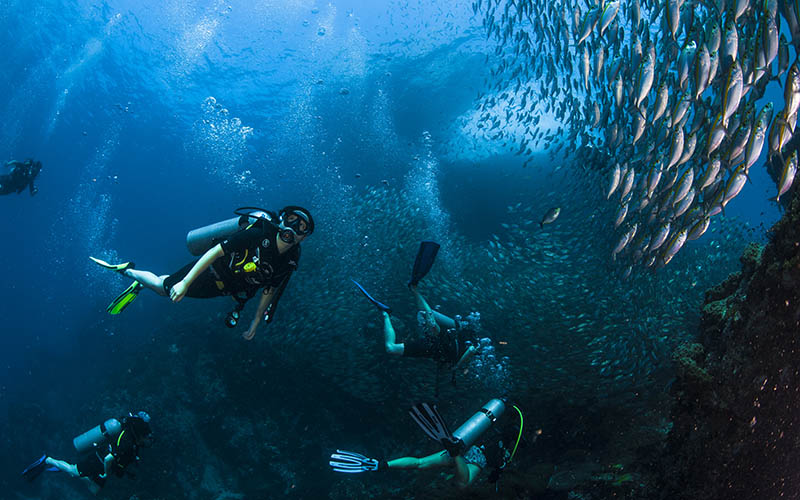isla-tortuga-divers-koh-tao-mochileros-tailandia-buceo-diving