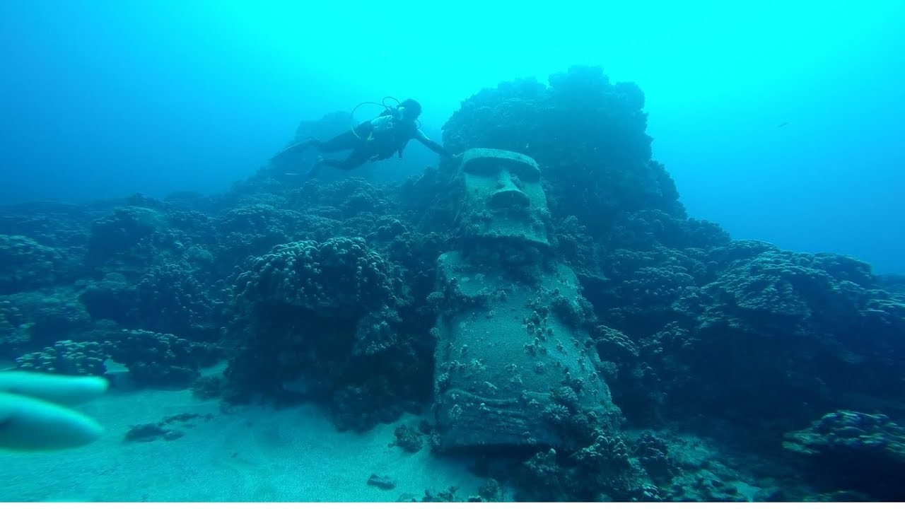 islatortugadiver.com koh tao moai suaciatico