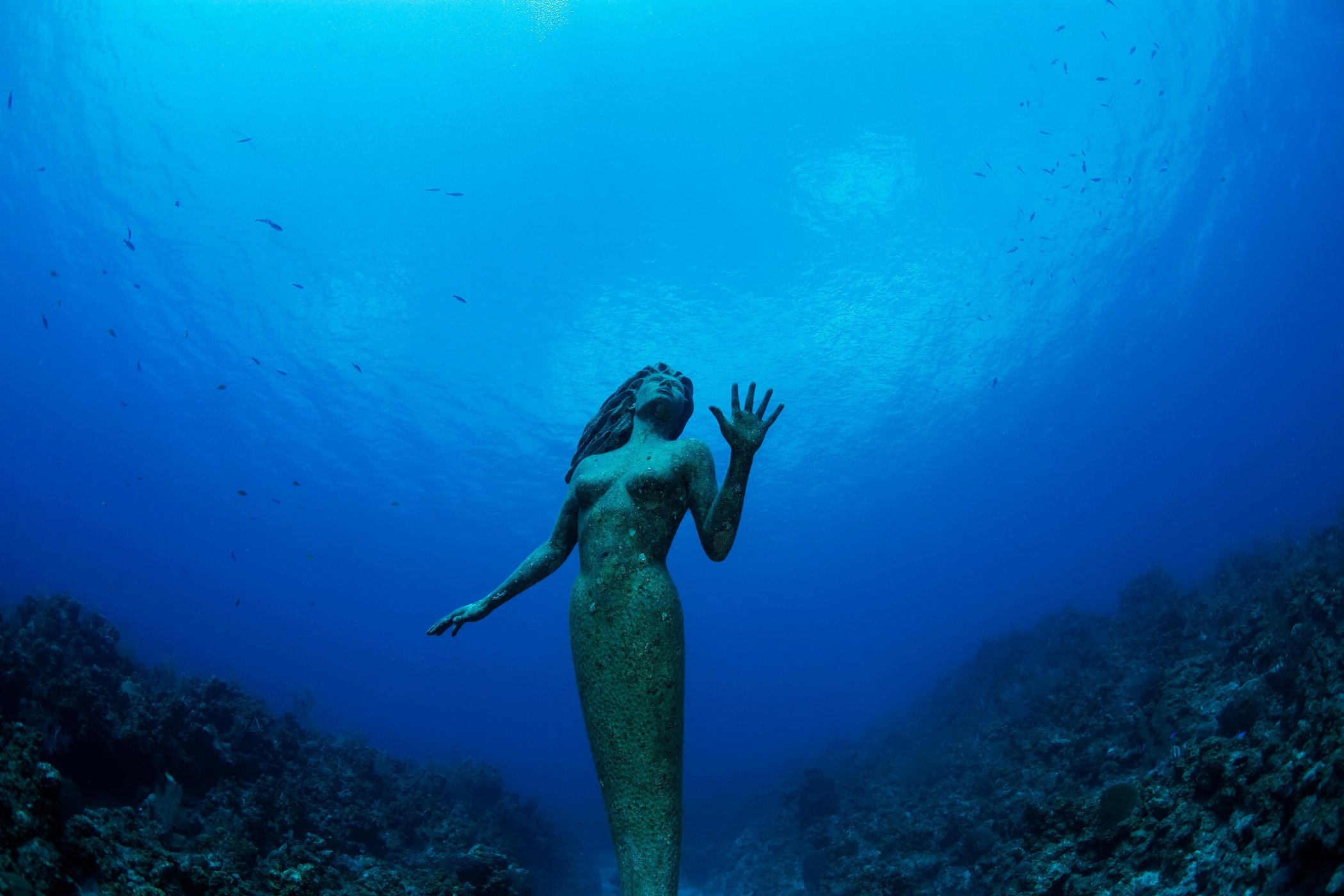 islatortugadiver.com koh tao10-estatuas-bajo-el-agua-mar-sirena-mexico