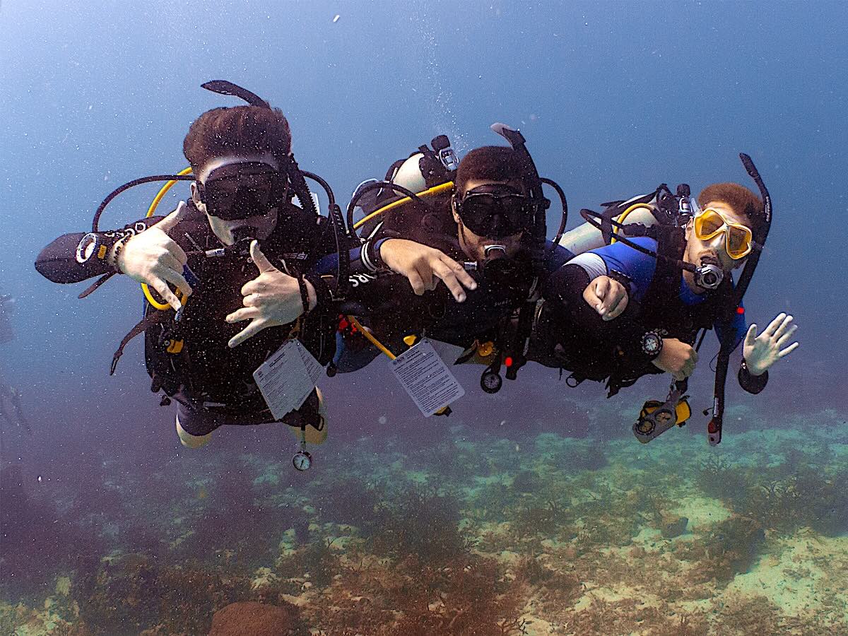 Become a PADI Divemaster on Koh Tao