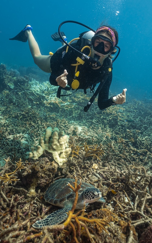 fun diving trips