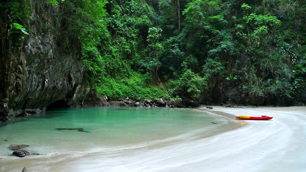 islatortugadivers.com koh tao cursos bueco tailandia padi 10 sitios en tailandia Imagen 8