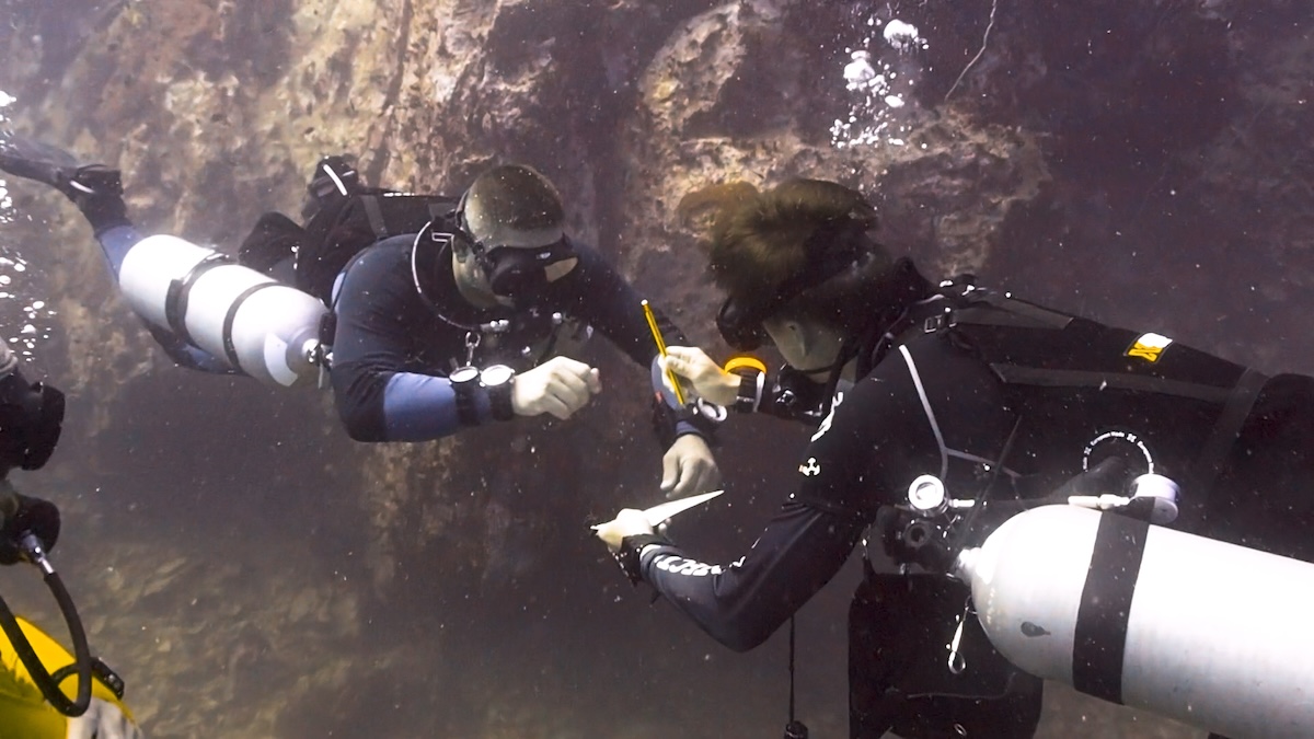 Master Scuba Diver Trainer Internship