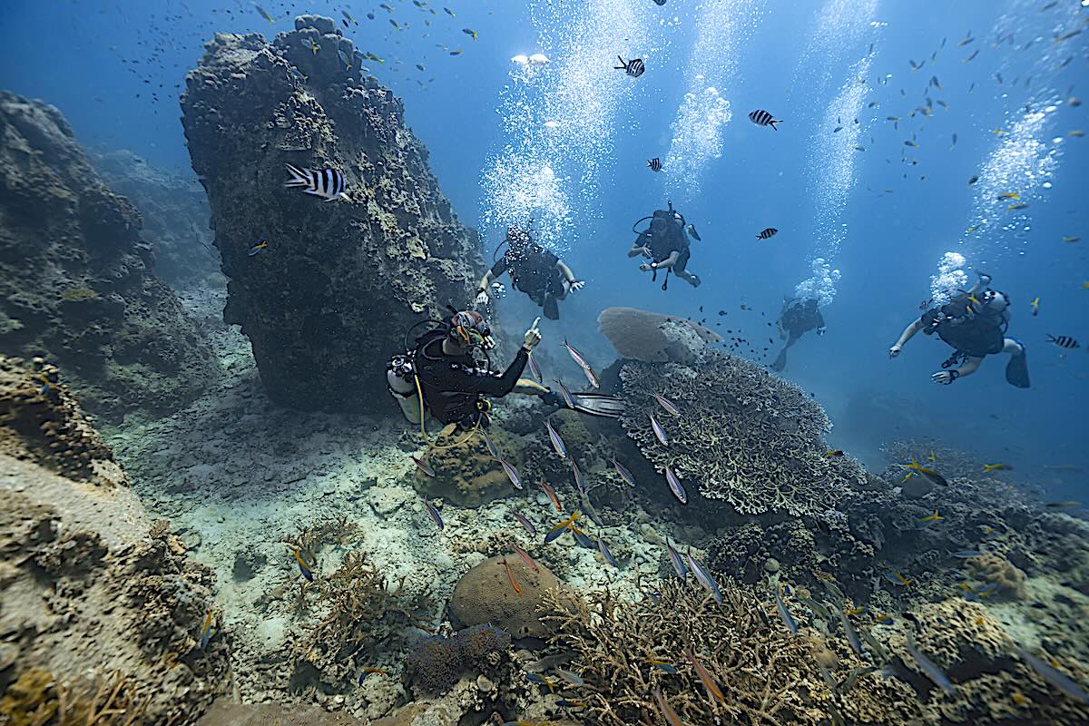Curso PADI Open Water inmersión en aguas abiertas