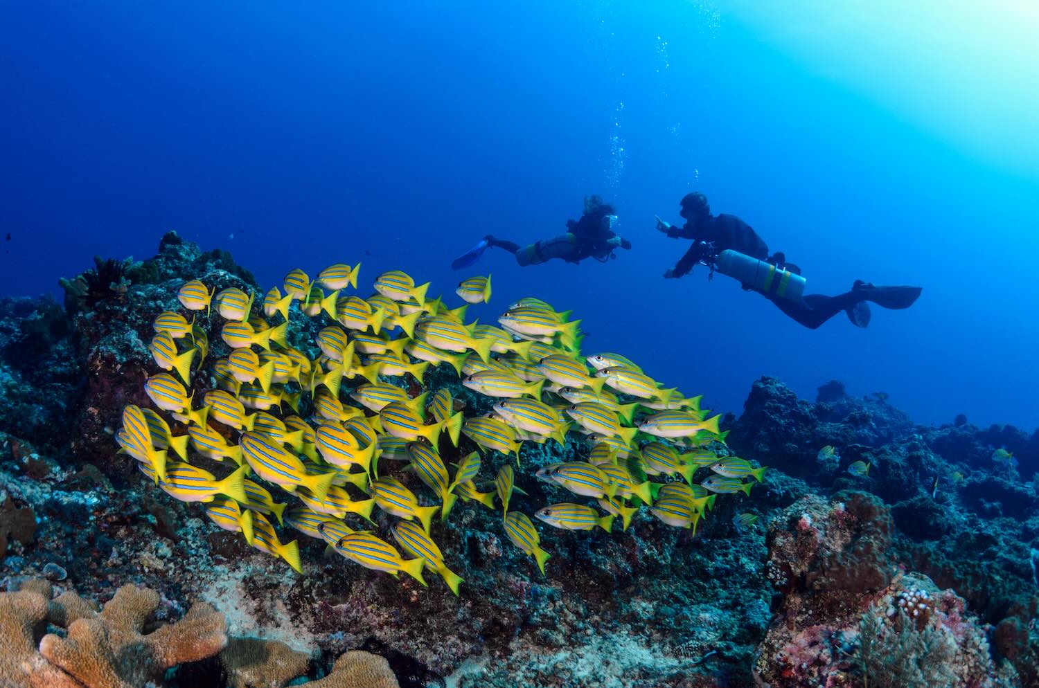 PADI Sidemount Diver
