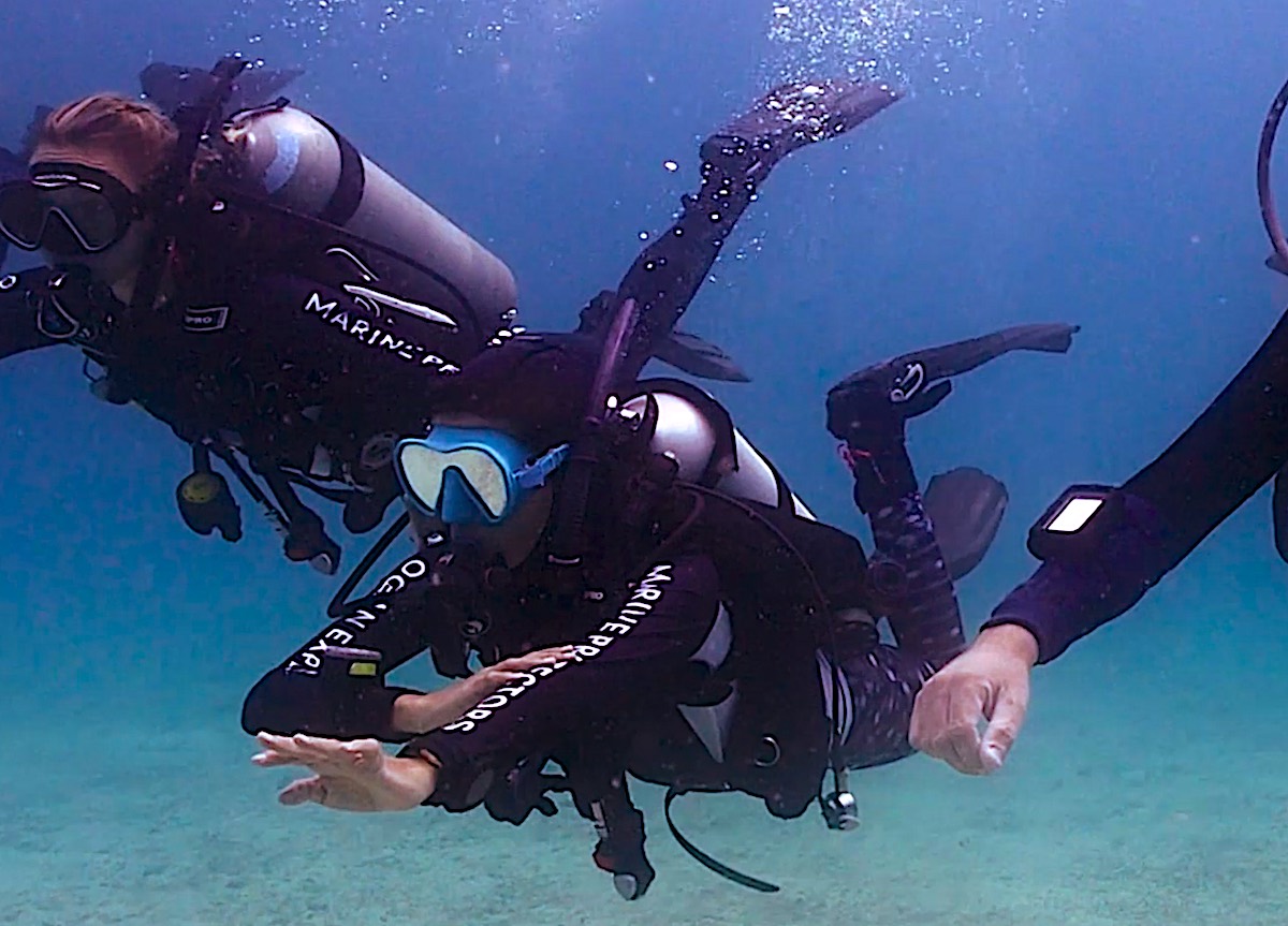 PADI Underwater Navigator Diver Specialty Course